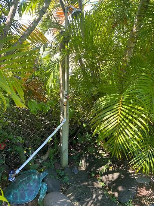 קאילואה-קונה Beautiful Ocean House, Walk To Magic Sand Beach ארצות הברית